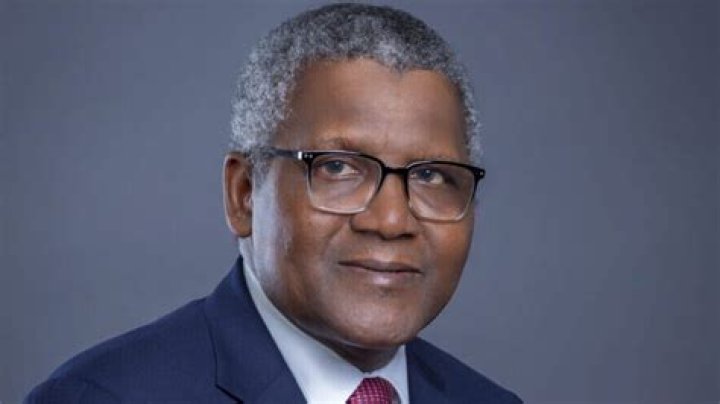 Adeleke Adedeji's Net Worth In 2024: A Comprehensive Analysis