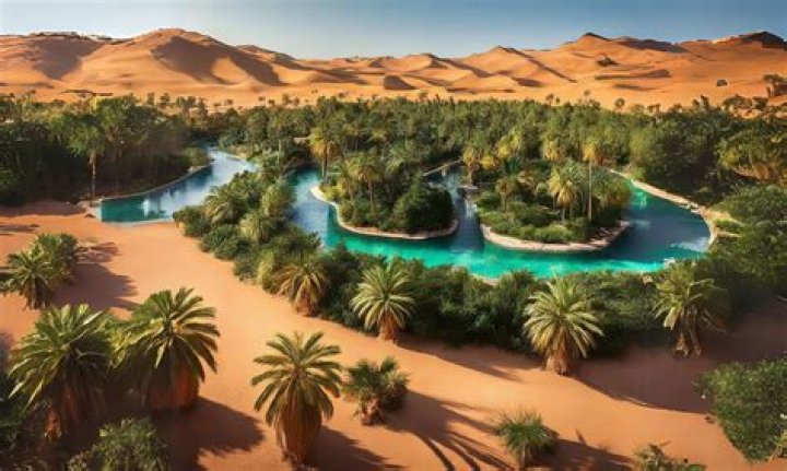 Discover Kibbutz Amir: An Oasis Of Tranquility In Northern Israel