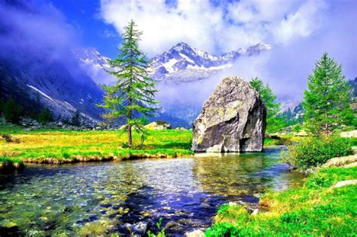 Discover The Enchanting Heights Of Bateman | Explore Nature's Embrace