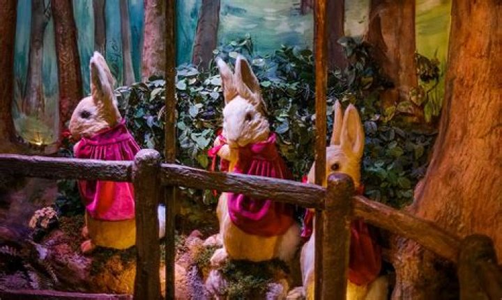 Explore The Enchanting World Of Sofia Rain's Videos