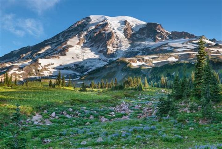 Majestic Mount Rainier: 2007 Expedition Unveils Its Grandeur