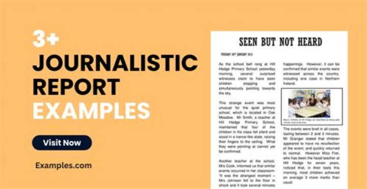 Molly Noblit's Cutting-Edge Reporting On The BBC: A Journalistic Force