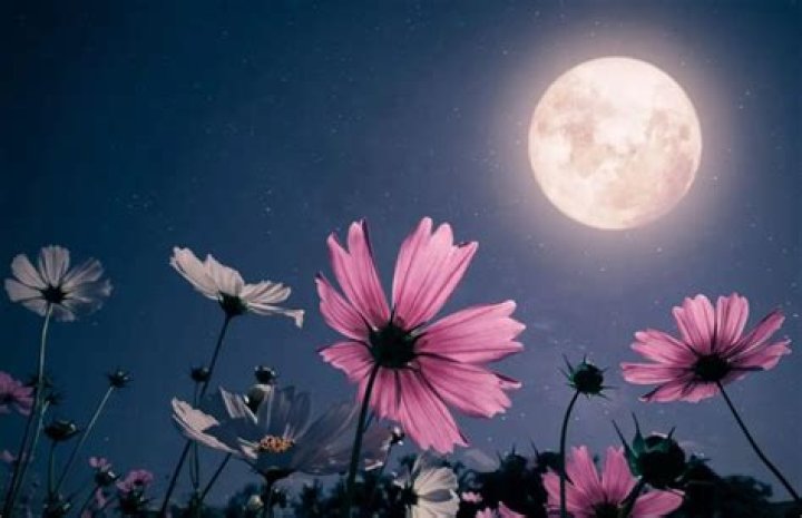 See The May 27th Moon: A Celestial Spectacle Not To Miss