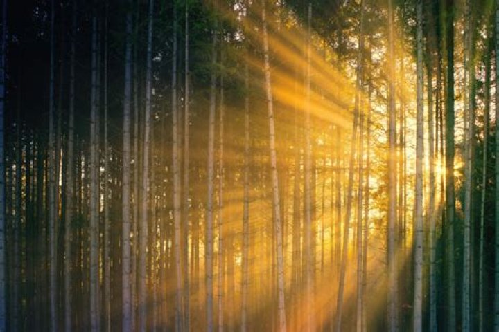 Shining Light Through Jude Bellingham Foundation