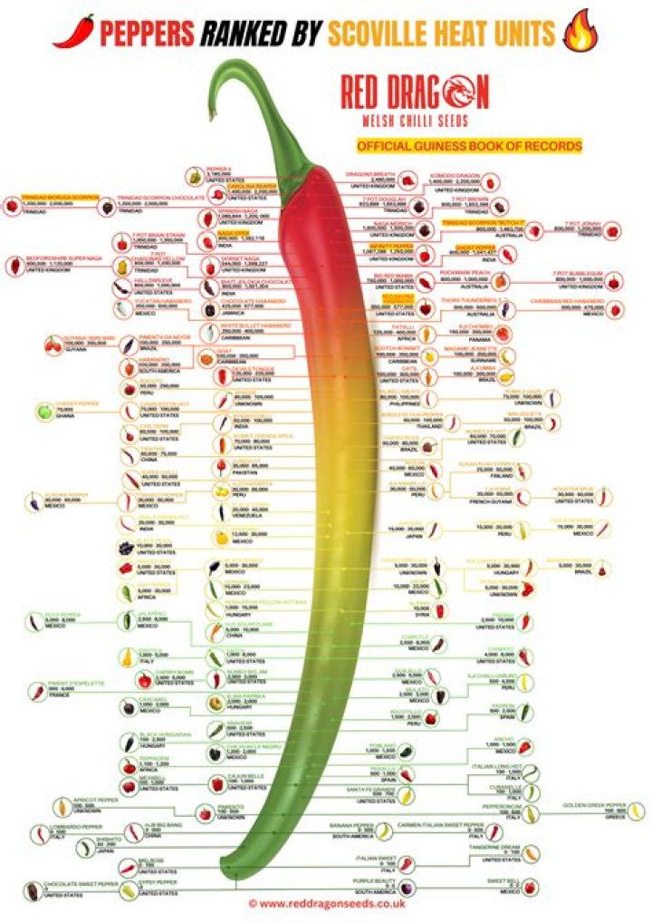 The Definitive Guide To Red Hot Chili Pepper Helena: Origins, Analysis, And Impact