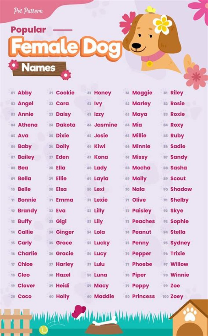 The Ultimate Guide To Finding The Perfect Dog Name For Your Car