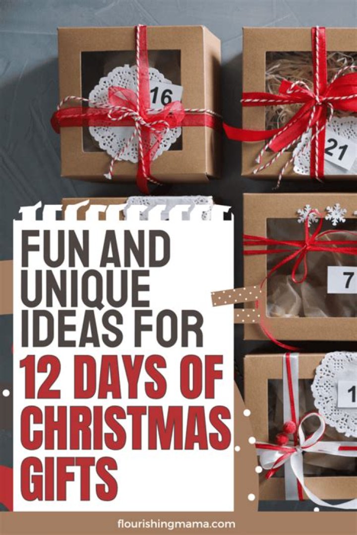 Top Picks For Your Holiday Season: 12 Days Of Christmas Gifts