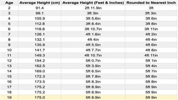Ultimate Guide: Unveiling The Height Of Yamal In Centimeters