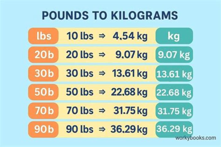 Understanding The Weight Conversion: How Much Is 53.5 Kg In Pounds?